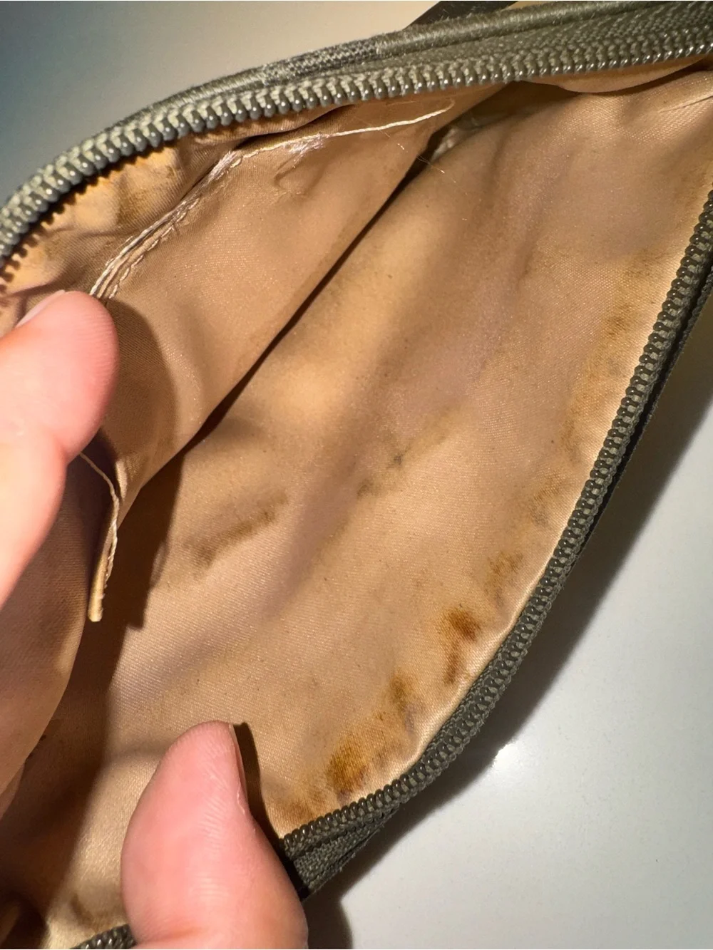 Coach Olive Signature Canvas Wristlet with Black Strap and Gold Turnlock